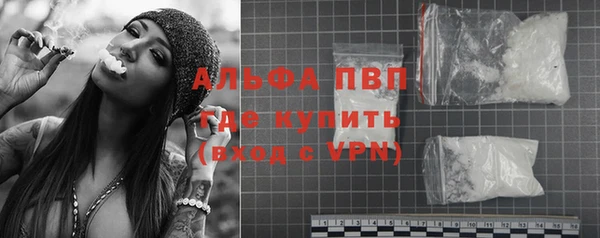 индика Весьегонск