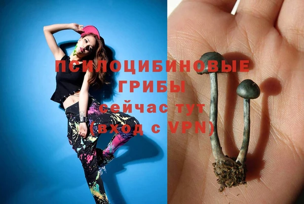 молекула духа Ветлуга