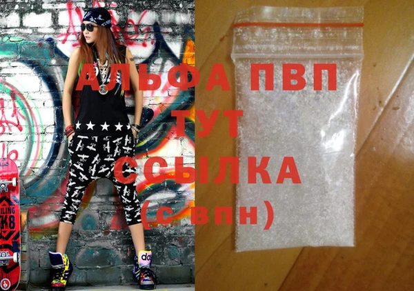 индика Весьегонск