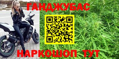 эйфоретик Аргун
