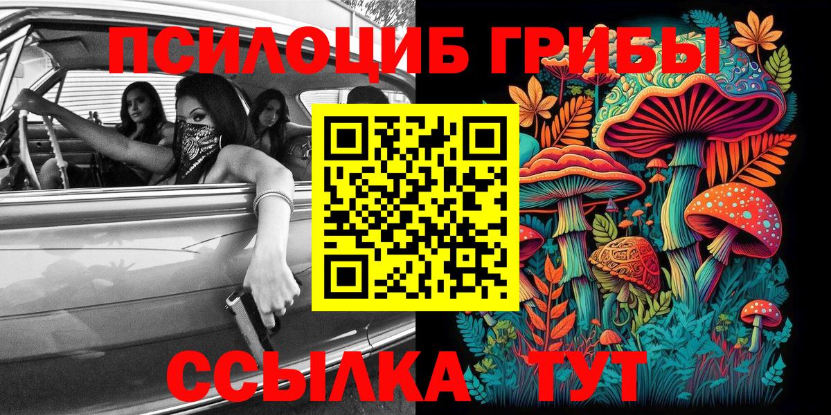 закладка  Апшеронск  Галлюциногенные грибы ЛСД  Галлюциногенные грибы мицелий 