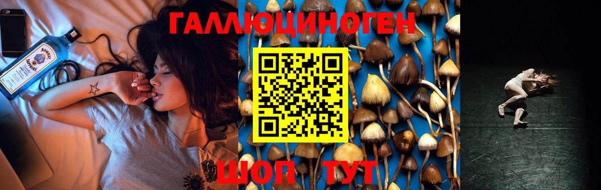 Апшеронск  Галлюциногенные грибы Cubensis  Вход с VPN 