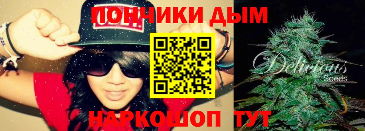 Канабис план  Апшеронск  Бошки марихуана Ganja  Конопля сатива 